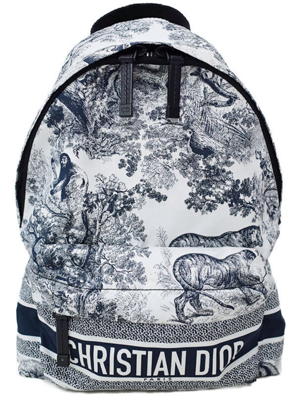 Christian Dior Travel Backpack